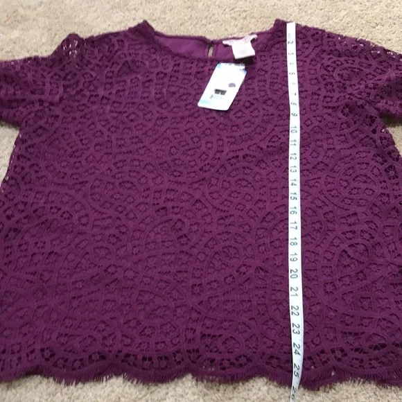 New! Philosophy large plum lace S/S  blouse. - Picture 6 of 7